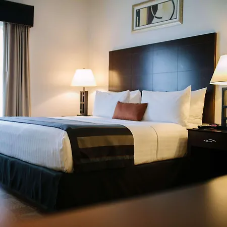 Wingate By Wyndham Tinley Park Hotel