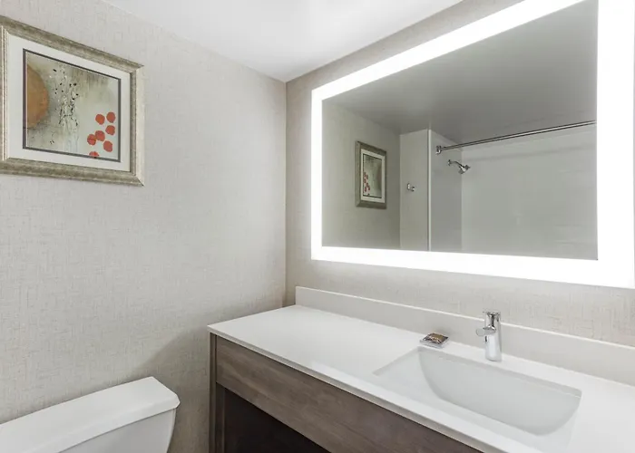 Wingate By Wyndham Tinley Park