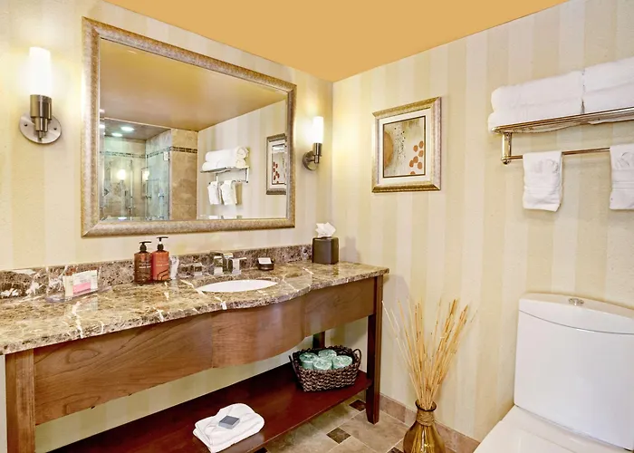 Hotel Wingate By Wyndham Tinley Park